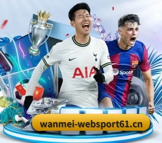 完美体育websport61的故事