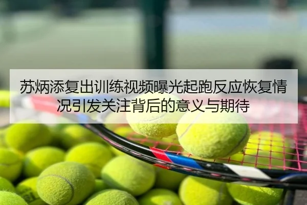 苏炳添复出训练视频曝光起跑反应恢复情况引发关注背后的意义与期待
